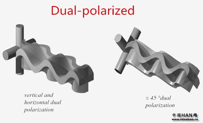 Dual Polarized-Ailunce.jpg