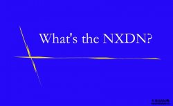 NXDN是什么